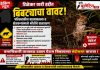 शेतात बिबट्याचा मुक्त संचार; शेतकऱ्यांच्या सुरक्षेचा प्रश्न ऐरणीवर!