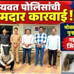 मोक्का व खंडणीसारख्या गुन्ह्यांतील आरोपीकडून गावठी पिस्टलसह जिवंत काडतूस जप्त; यवत पोलिसांची कारवाई!